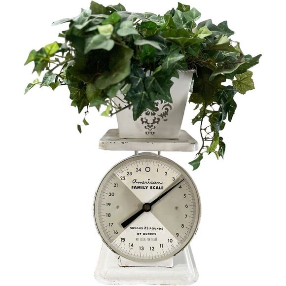 VINTAGE American Family White FarmhouseDecorative Kitchen Scale & Faux Plant.